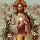 영 모 당 이미지