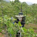 흥이많은농부 이미지