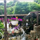 물레방아식당 이미지