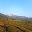 다원여행사 - 12205 | 다원여행사