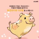 황금 이미지