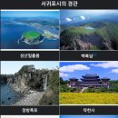 제주고가네 이미지