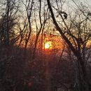 보라매동-31 이미지