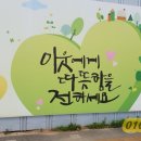 김태현공인중개사사무소 이미지