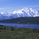 연어의고향 이미지