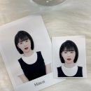 뮤트