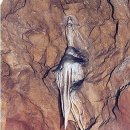 강원 삼척시 환선굴 수억 년 세월의 화석이 빚어낸 ‘지하 금강산’ 이미지