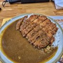 성무관 | 서울 동작구 혼밥 점심 추천 일본식카레 맛집 코코이찌방야 일품돈카츠카레 후기 (주차 가능)