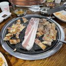 외대갈매기 이미지