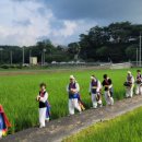 문당환경농업마을 | "홍성 문당환경농업마을 로컬100 2회 연속 선정, 친환경 농업의 최전선!"