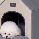 그루밍하우스 이미지