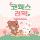 코웍스 본사 코이카 KOICA 글로벌인재교육원 온라인 견학 (서울 서초 양재)