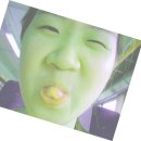 뭐먹냥? 이미지