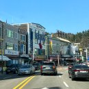속초관광수산시장(2층 A동) | 속초여행 대포항 회 포장 관광수산시장 주차 내돈내산