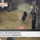 손님식당 Daum카페