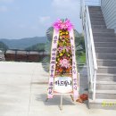 유림초등학교 이미지