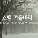 폭풍처럼 휘몰아치는 정열의 곡 ... 쇼팽 에튀드 "겨울바람( Etude Op.25 No.11) 이미지