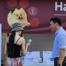 김대진동물병원 이미지