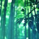 일상의 하루 이미지