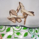 다산용한의원 이미지