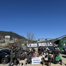 작은 손길이 큰 변화를 만듭니다│사랑이네 유기견 보호소 봉사 기록