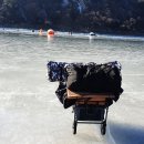 늘푸른낚시 이미지