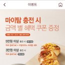 마이테라스가든