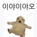 아재커피 세종대로점 | 키크니 특별전 다녀옴 후기/ 남자친구 해피버스데이🚌