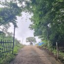 창동1리마을회관 이미지