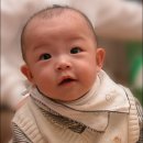 진우수지 이미지