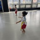 STS한국체대태권도 이미지