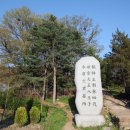 영응대군 묘 및 신도비 이미지