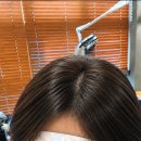 로데르헤어