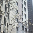 미술심리상담사(초급과정) 이미지