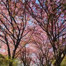 완산-30 이미지
