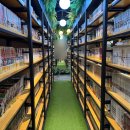 공중도시 | 시흥 배곧 만화카페 벌툰 공중정원 후기｜가성비 데이트 추천