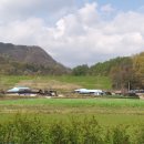 서대축산