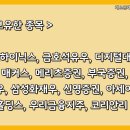 제이비네이처 이미지
