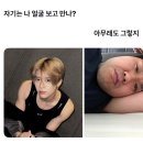 하잇 이미지