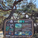 동호숲화장실 이미지