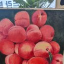 표현하는 즐거움+ 유화 이미지