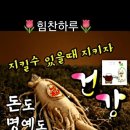 남진, 공연중 실신, 응급실 입원..윤정 오열 이미지