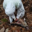 천안시청사(민원동) 2층(도솔도서관) 화장실 | 보 도 자 료 천안시 제공일자: 2020. 5. 8(금) 홍보담당관 ☏ 041-521-5178