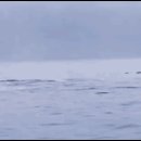 (주)파란고래 이미지