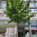 흥덕이마트 사거리(이마트) 이미지