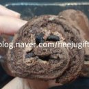 (주)삼림 이미지