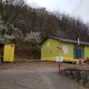 작은나무숲 이미지