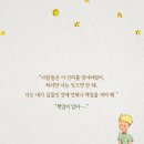어린왕자와 사막여우 이미지