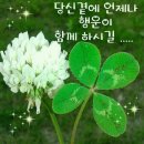 부공연