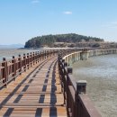 무안황토갯벌랜드 이미지